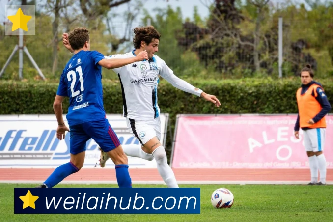 纬来体育平台发展历程