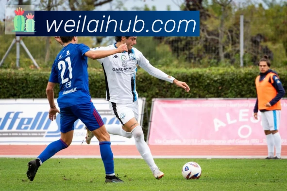 纬来体育平台品牌故事