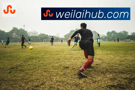 纬来体育平台服务体系