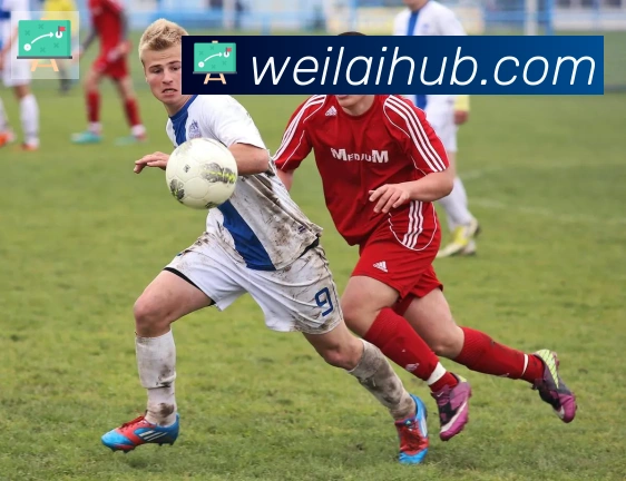 纬来体育平台荣誉