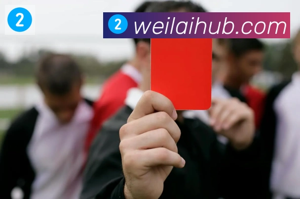 纬来体育平台荣誉