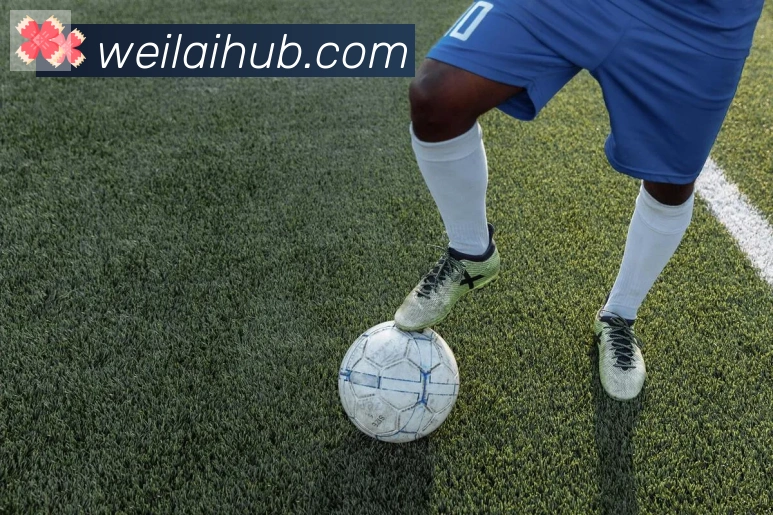 纬来体育平台荣誉