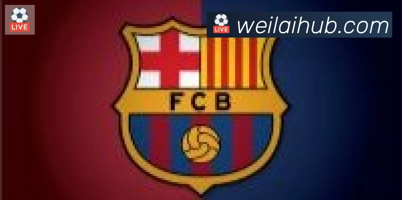 纬来体育平台合作伙伴